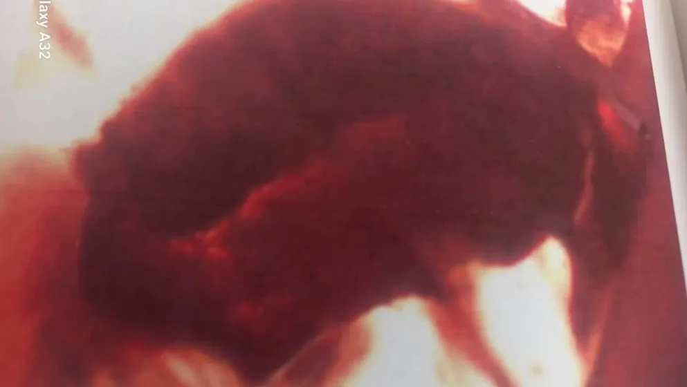 Jordanian Amber as Incense in Ancient Temples