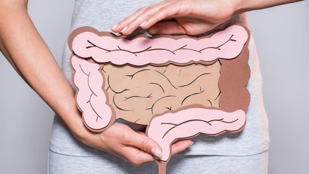 What Is the Relationship Between the Gut and Deep Sleep? - Jordan ...