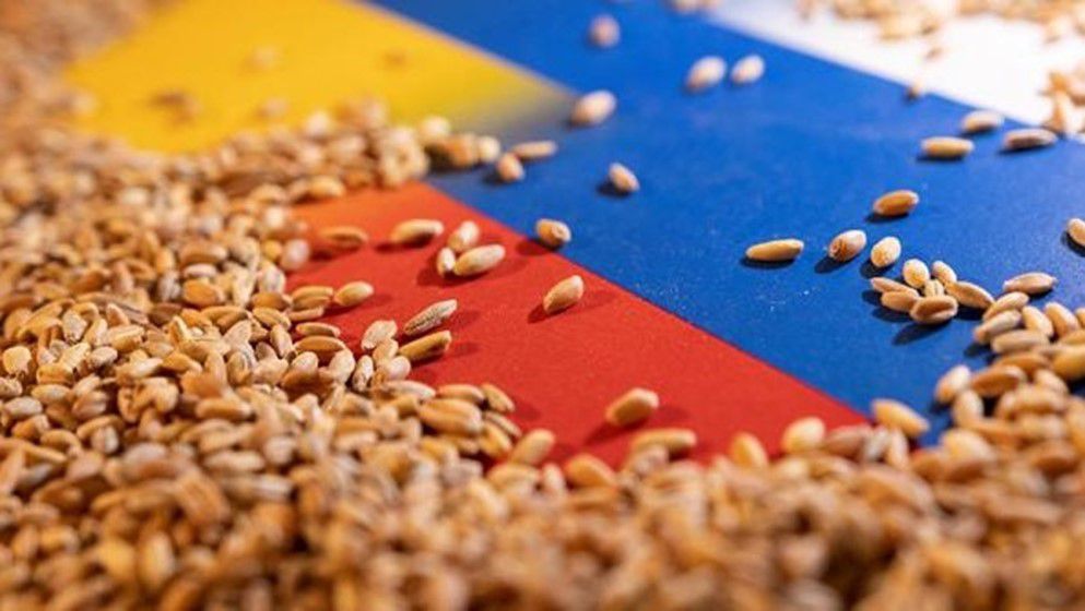 Russia Reduces Grain Export Duties to Zero