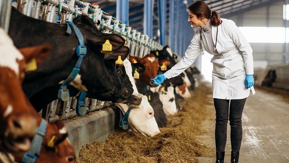 World Organization for Animal Health investigates local FMD ou...
