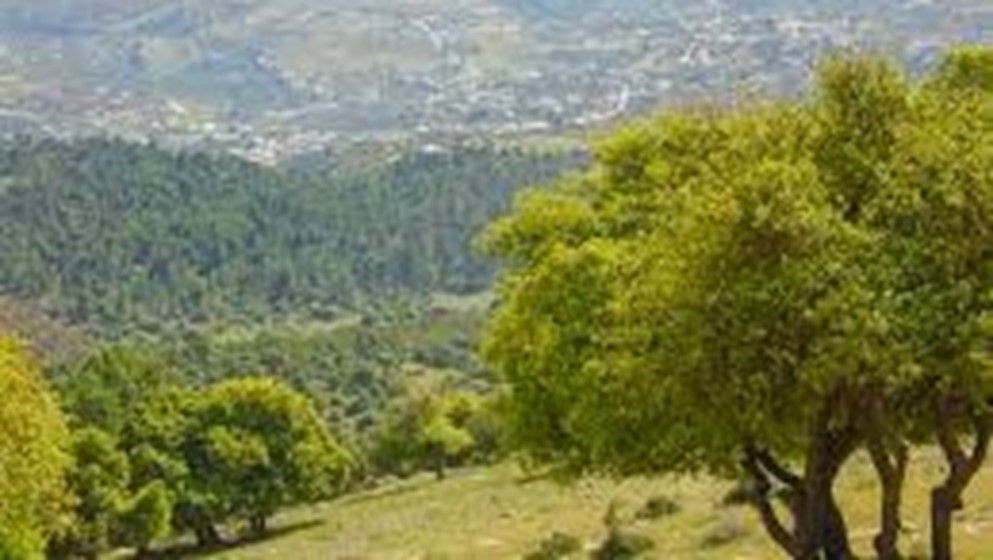 Dibeen Forest Reserve Launches New Production Projects to Boost Eco-Tourism