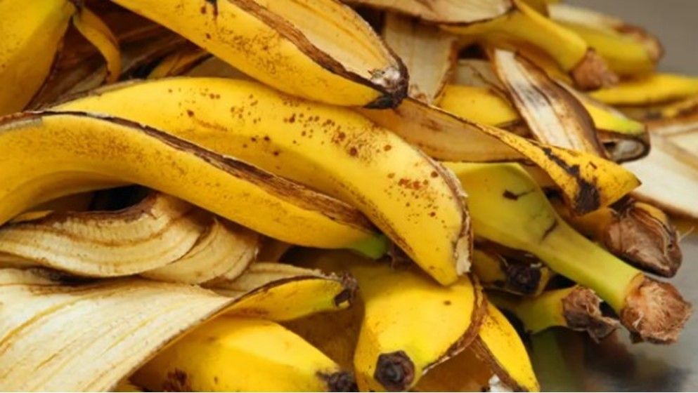 10 Smart Ways to Use Banana Peels in Your Home - Jordan News | Latest News ...