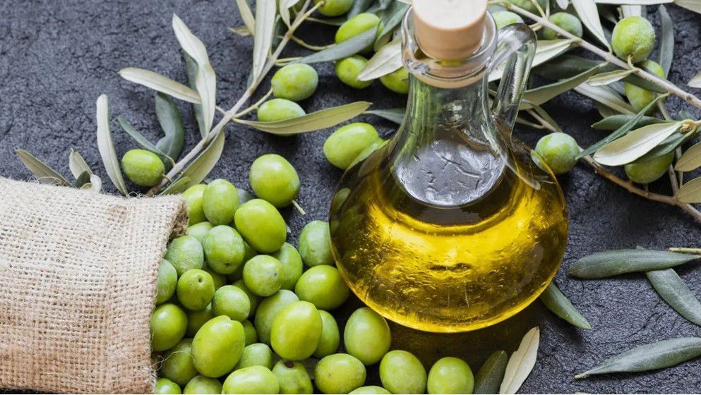 Experts Call for “Proactive Plan” to Safeguard Next Olive Season in Jordan
