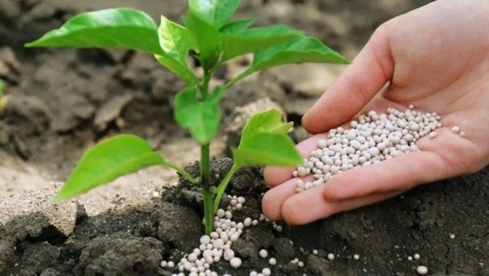 One-third of global fertilizer trade at risk due to the Iran war