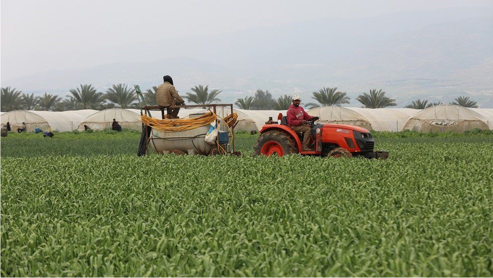 National agricultural ID numbers to be issued before end of ye...