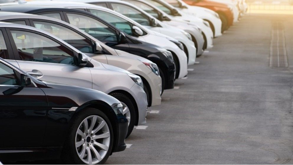 Tourism in Jordan Pays the Price of War… A Sector Facing the Risk of Collapse