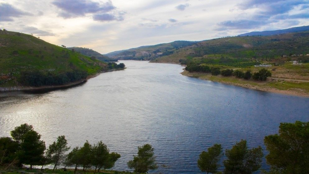 National Water Carrier Matches Kingdom’s Dam Capacity and Delivers Three Times Disi Output