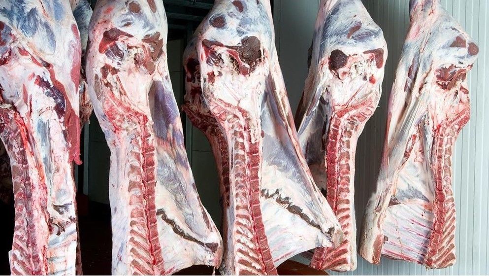 Government Meeting to Discuss Controlling Meat Prices in Jordan
