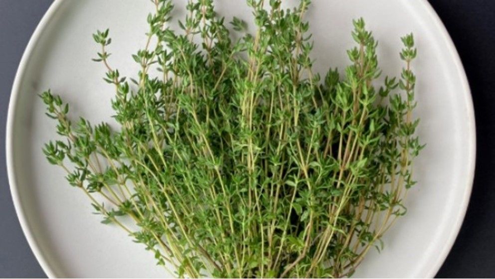 The Therapeutic Benefits of Thyme: Key Illnesses It May Help Heal - Jordan ...