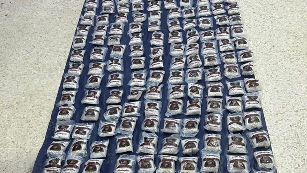 Jordanian Army Foils Drug-Smuggling Attempt Using Balloons