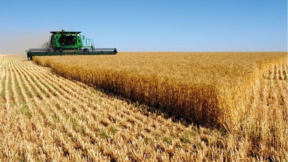 New Report: The Arab Region Is the Most Exposed to Food Shocks Caused by the War in the Region