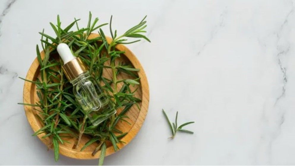 Rosemary Oil Tops Hair Care Trends in 2026