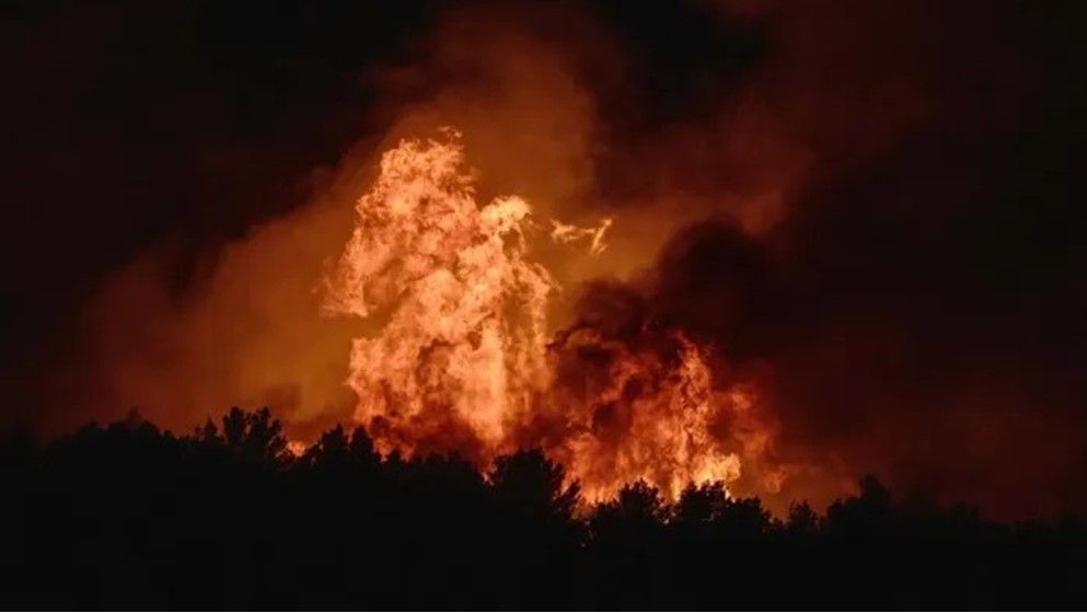 Frankreich: Waldbrände zwingen Hunderte zur Flucht
