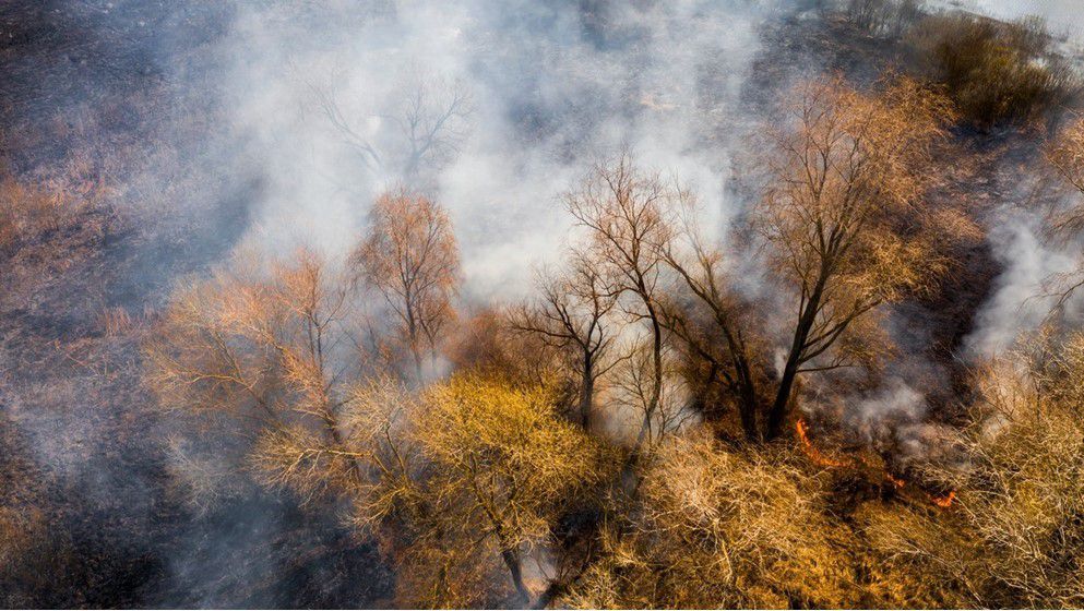 Does wildfire smoke cause lung cancer?...