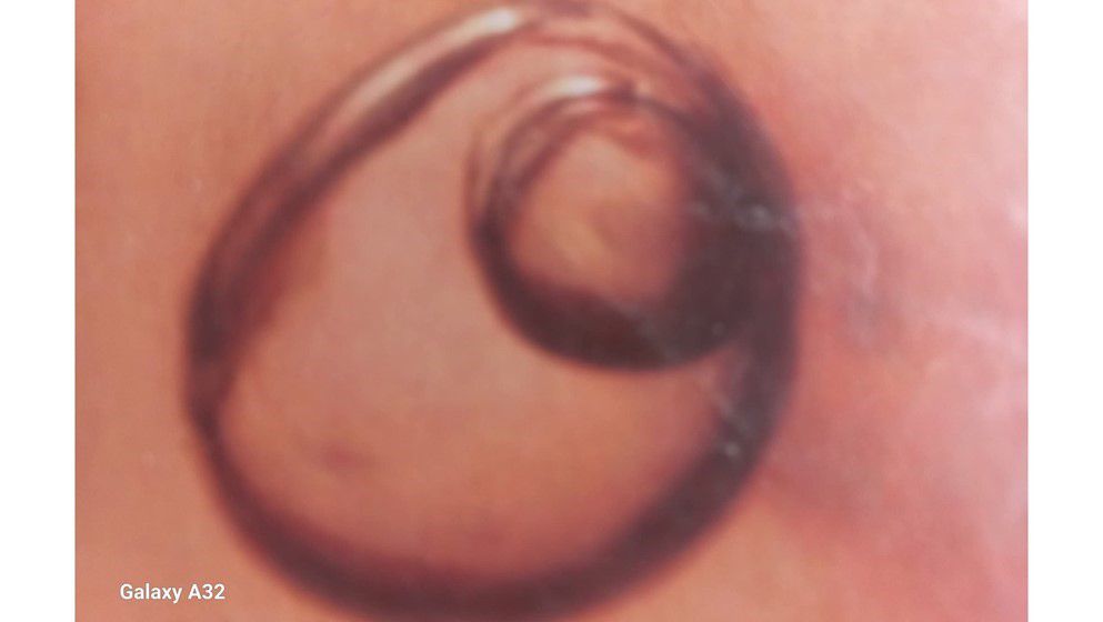 The largest bubble of water and air was discovered in Jordanian amber, dating back 140 million years