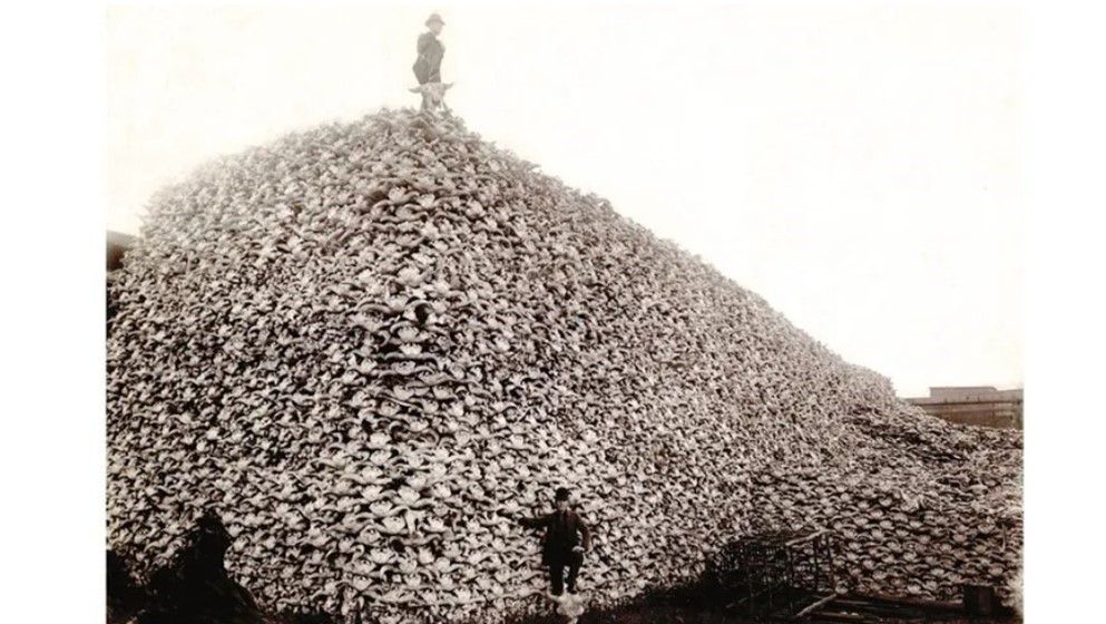 Starving Indigenous Peoples – Then and Now
