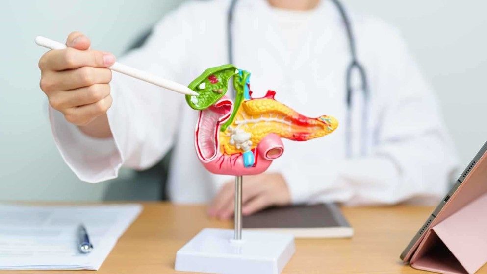 Gallstones: Symptoms and Causes - Jordan News | Latest News from Jordan ...