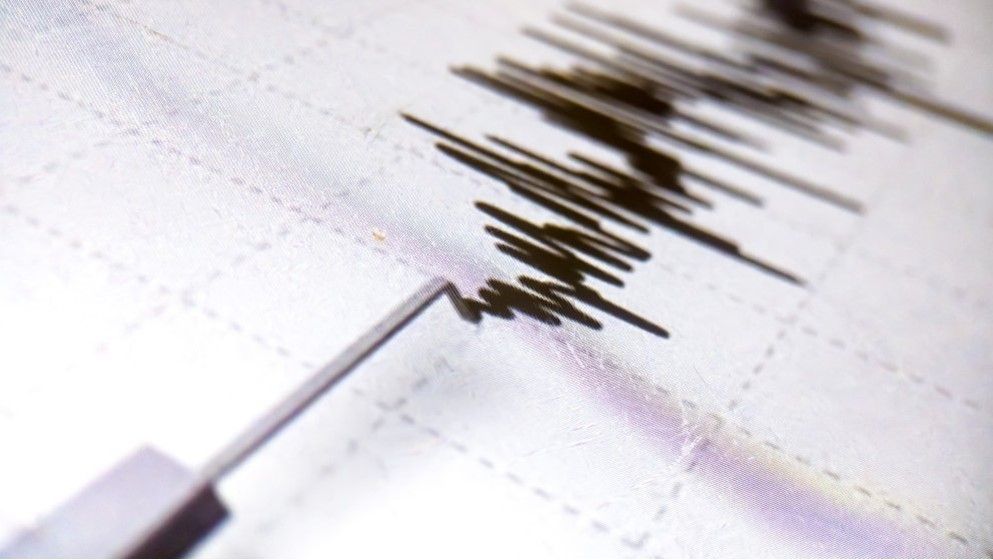 5.9-Magnitude Earthquake Strikes Area Near Tokyo, Injuring Dozens