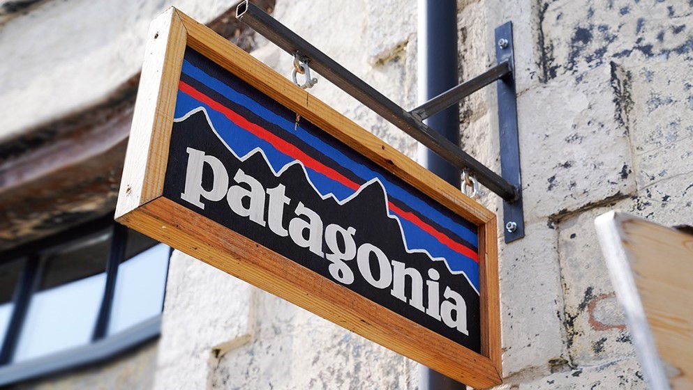 Patagonia’s bold activism offers lesson for ESG movement...