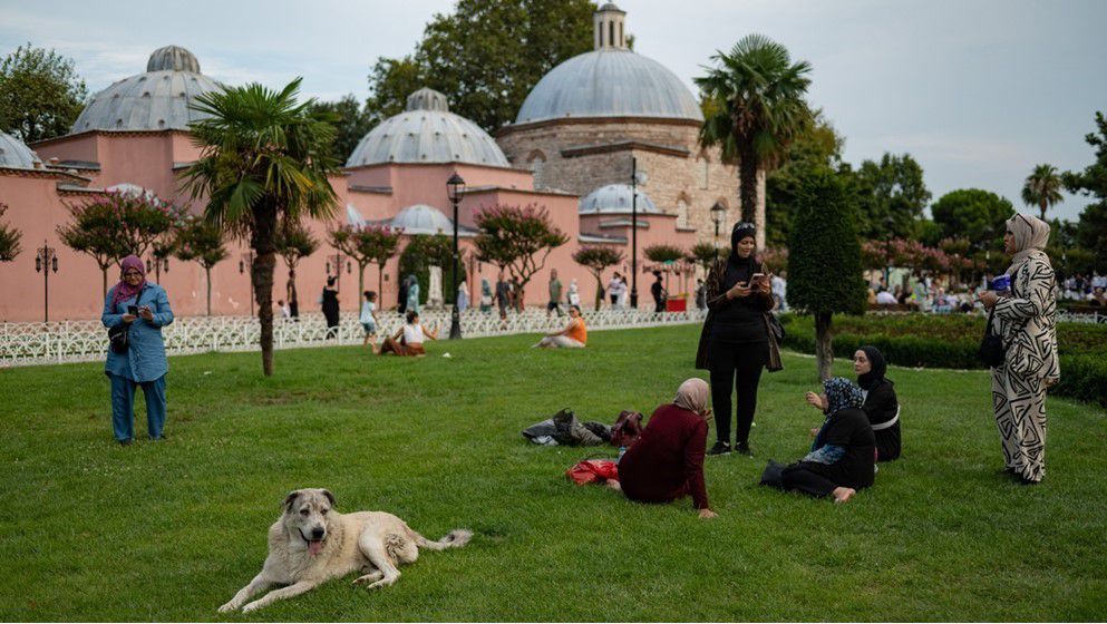 Bir asır sonra, Türkiye’nin köpekleri için siyasi savaşlar şiddetleniyor…