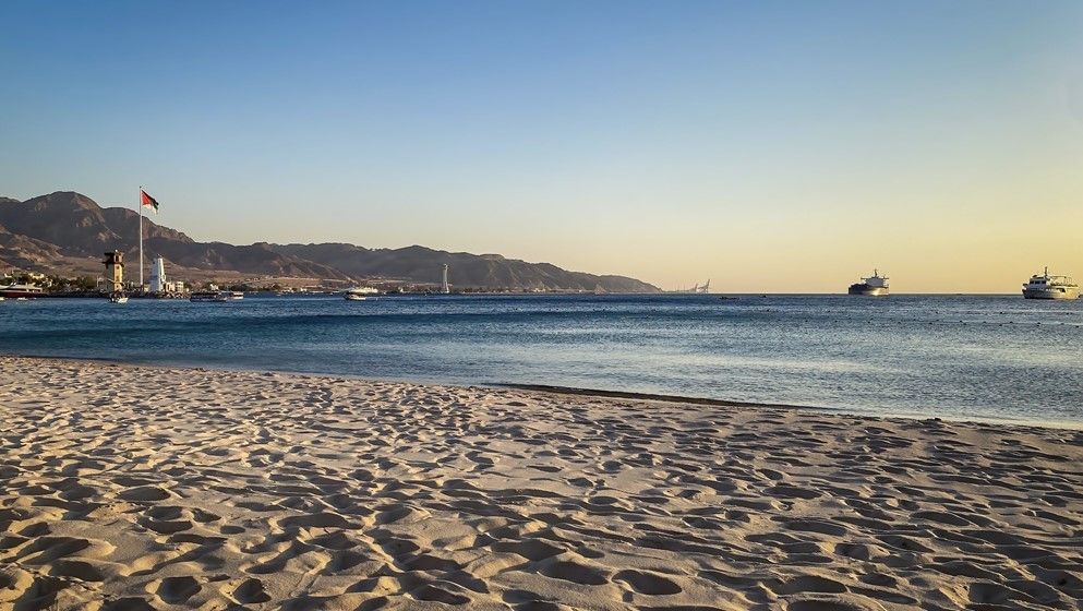 University of Jordan team finds antibacterial compounds in deep-sea Aqaba sponges