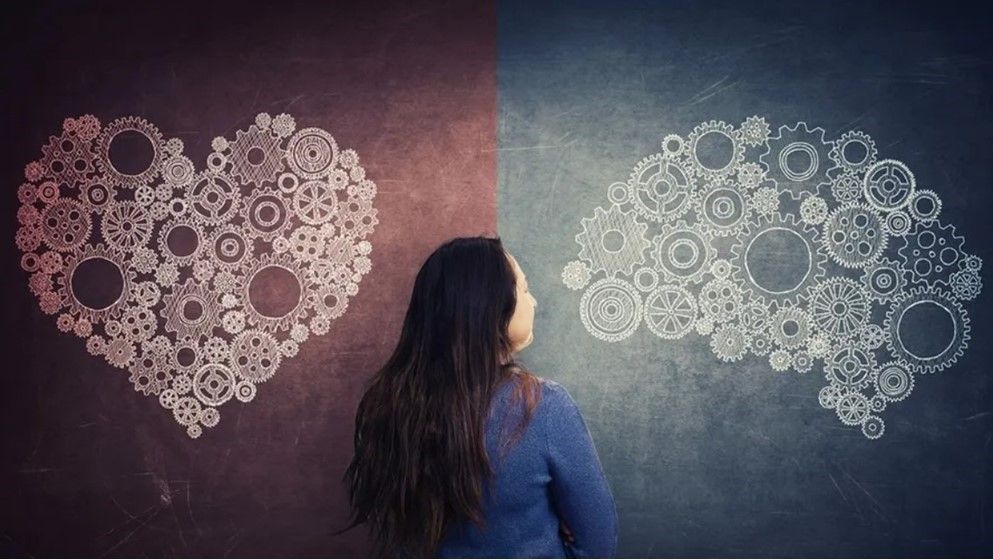 Global Analysis Links Emotional Intelligence to Success and Wellbeing