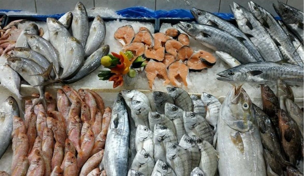 ارتفاع أسعار الأسماك 30%.. تعرف على السبب