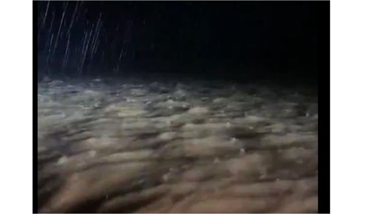 بالفيديو.. أمطار غزيرة وسيول عارمة غرب المدينة المنورة