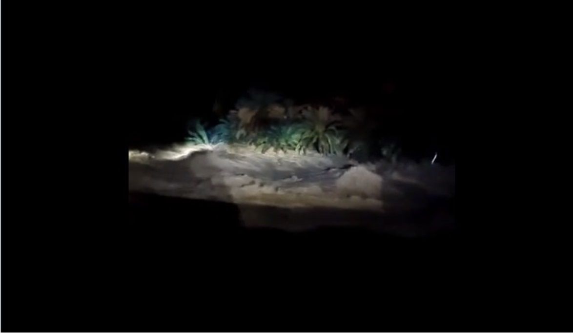 مشهد مرعب لسيول عاتية تقتلع النخيل بسلطنة عمان