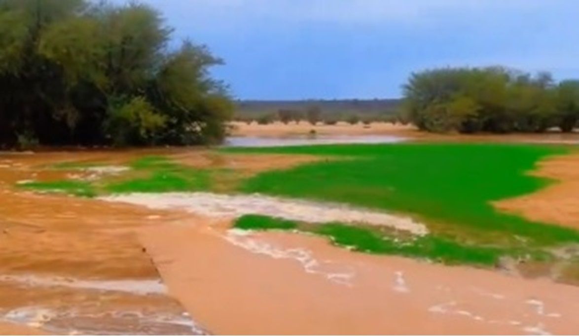 أمطار وبرد وسيول.. تقلبات جوية وطقس غير مستقر على مكة والباحة وهذه المناطق (فيديو)